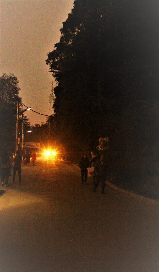 Prakash Cottage Shimla Buitenkant foto