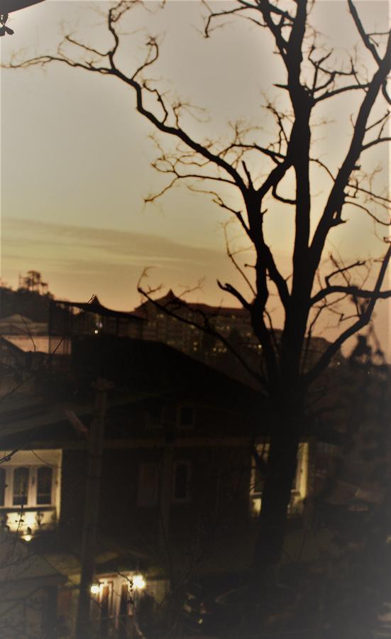 Prakash Cottage Shimla Buitenkant foto